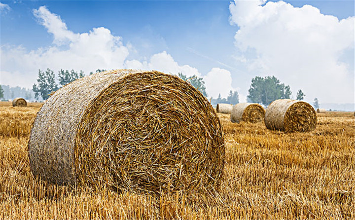 秸稈禁燒和綜合利用提升 秸稈禁燒和綜合利用提升