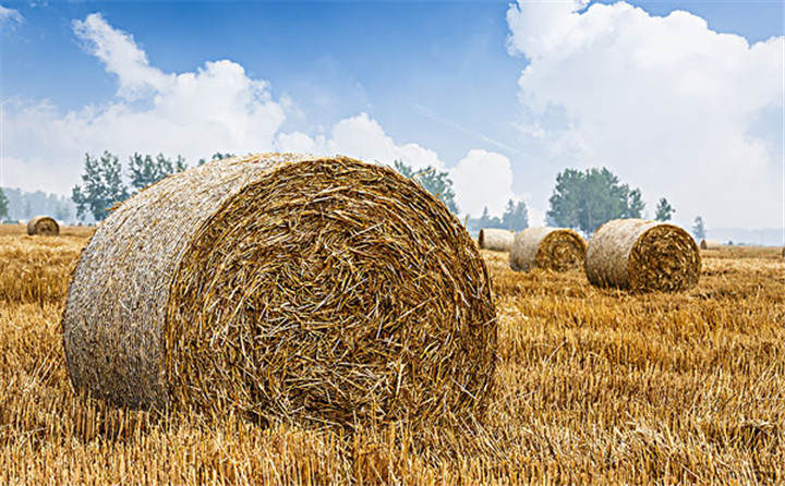 黑龍江省海倫市用于秸稈綜合利用共投入1.6億元，加快玉米秸稈顆粒機的使用