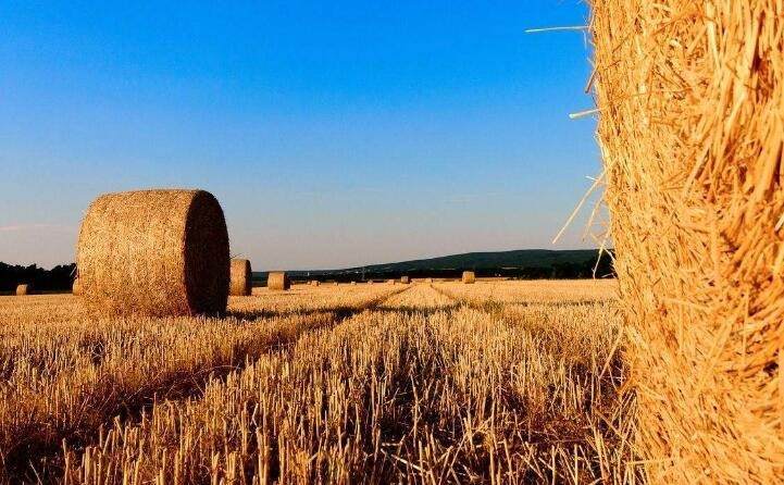 稻殼的新出路---秸稈顆粒機(jī)之燃料顆粒