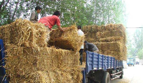 每年秋收過后，到轉(zhuǎn)年春耕，是秸稈處理的關(guān)鍵期