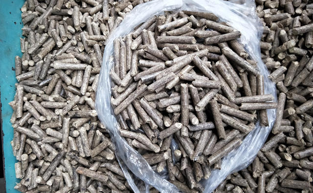 生物質(zhì) 生物質(zhì)