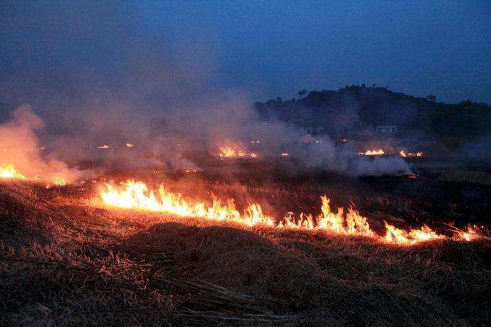 秸稈焚燒 秸稈焚燒