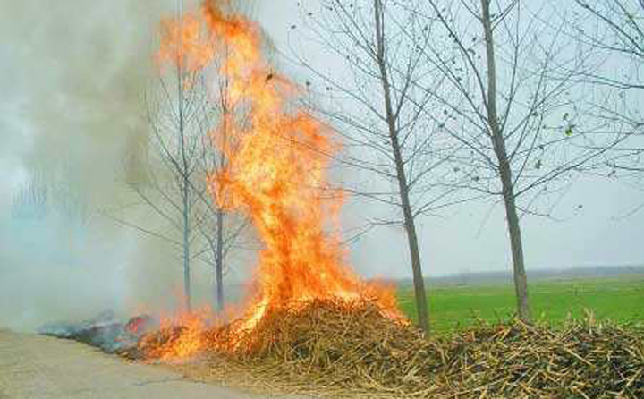 秸稈焚燒產(chǎn)生滾滾濃煙