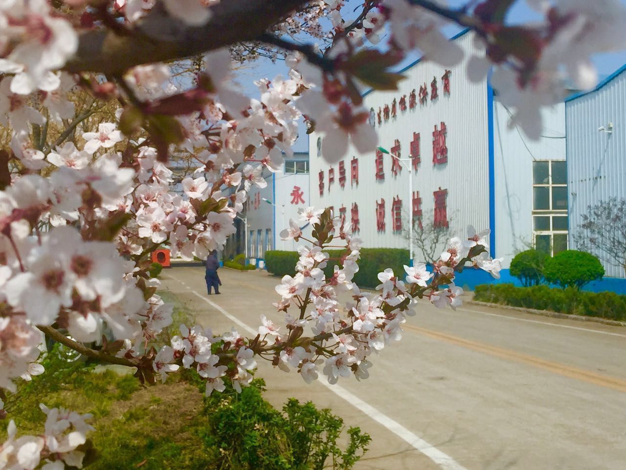 金格瑞顆粒機(jī)廠家