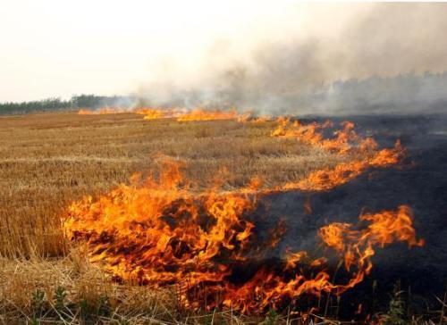 秸稈焚燒造成嚴重環(huán)境污染 秸稈焚燒造成嚴重環(huán)境污染