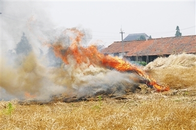 秸稈焚燒屢禁不止 秸稈焚燒屢禁不止