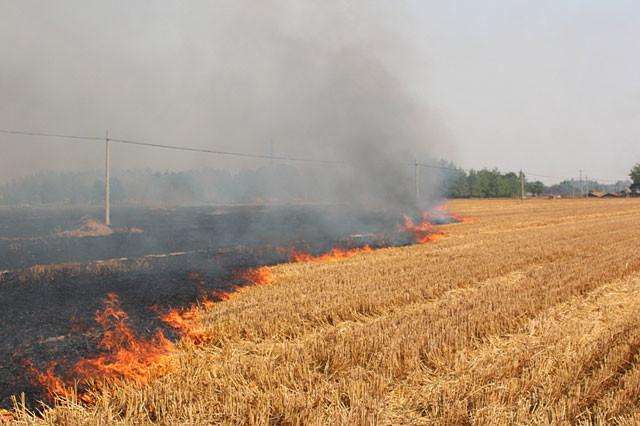 秸稈禁燒保護(hù)環(huán)境 秸稈禁燒保護(hù)環(huán)境