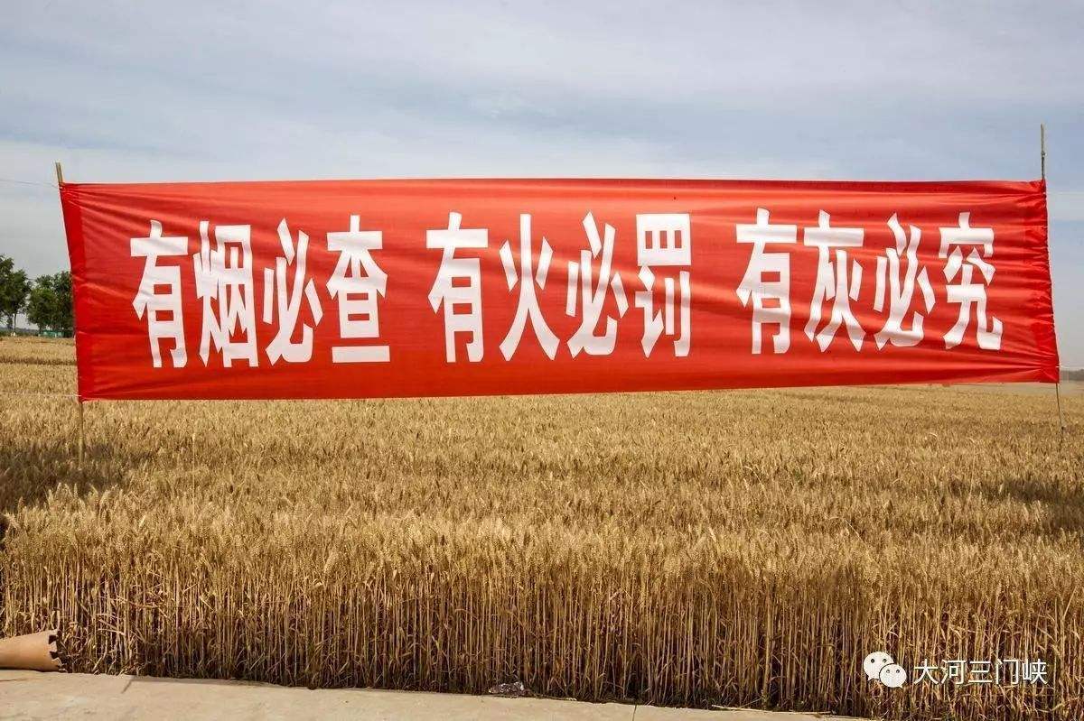 史上最嚴禁燒令 史上最嚴禁燒令