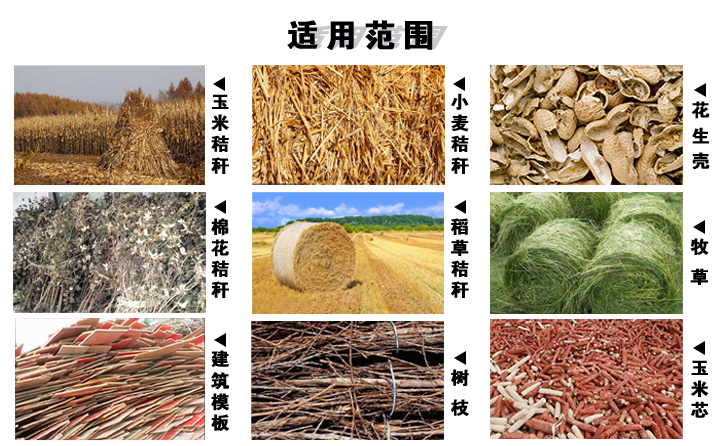 生物質(zhì)廢棄物 生物質(zhì)廢棄物