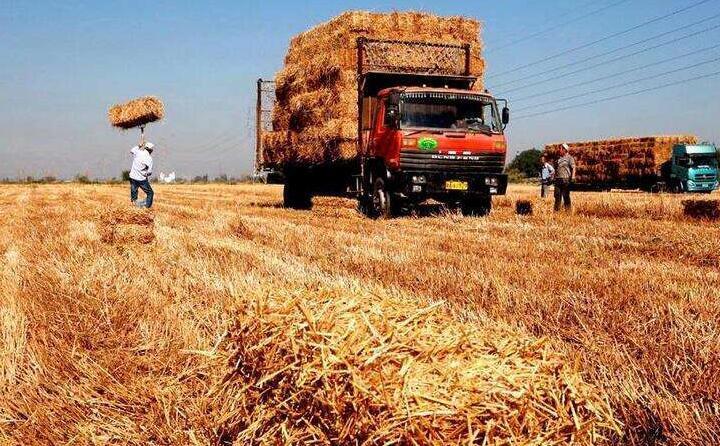 黑龍江秸稈離田 黑龍江秸稈離田