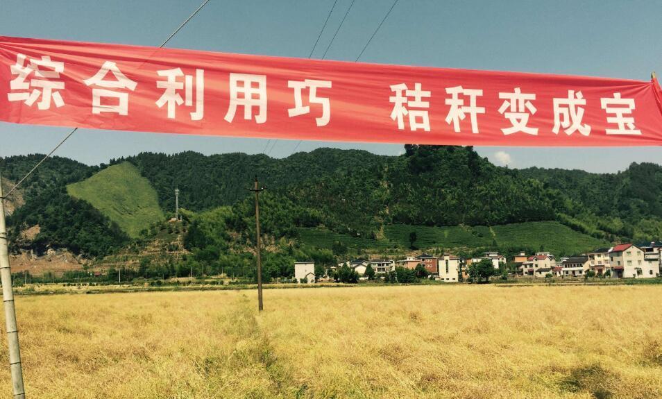 黑龍江秸稈綜合利用 黑龍江秸稈綜合利用