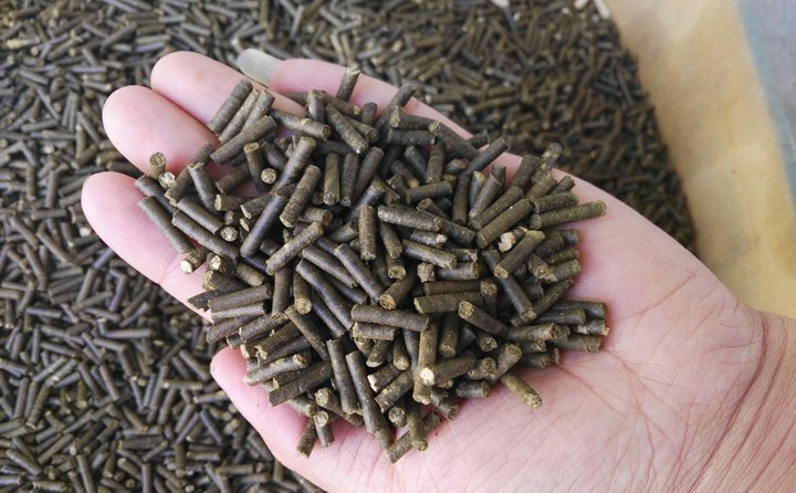 秸稈制粒機(jī)加工的生物質(zhì)顆粒 秸稈制粒機(jī)加工的生物質(zhì)顆粒