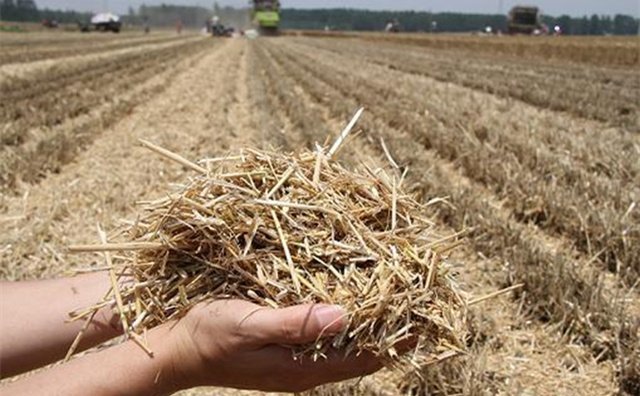 我國糧食產(chǎn)量實現(xiàn)“十七連豐” 我國糧食產(chǎn)量實現(xiàn)“十七連豐”