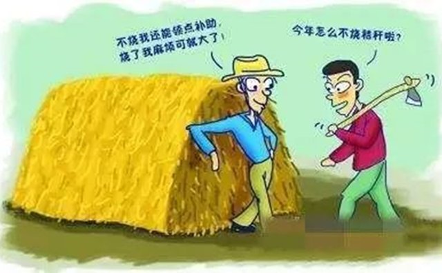 秸稈補(bǔ)貼 秸稈補(bǔ)貼