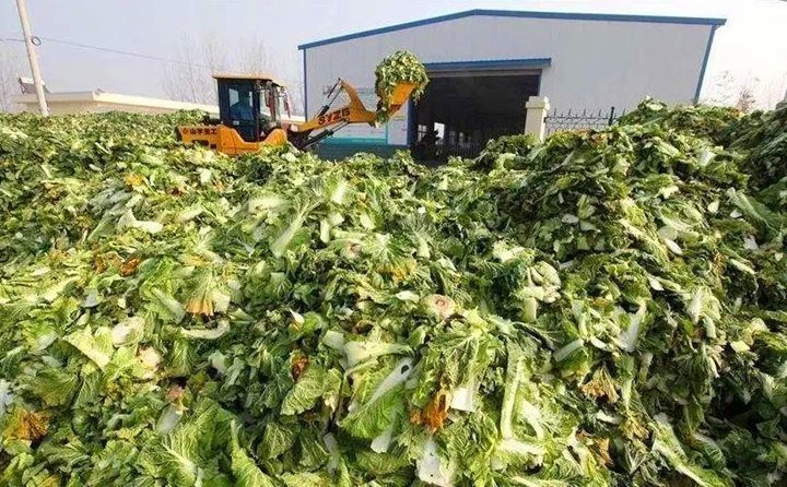 臨澤有招,變廢為寶,實現(xiàn)了秸稈、尾菜、畜禽糞便等廢棄物的“飼料化、菌料化、肥料化、燃料化”