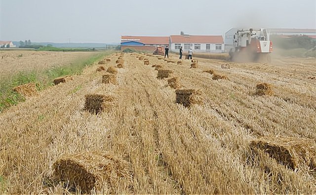 黑龍江省秸稈“大變身” 幫農(nóng)民解“心憂”