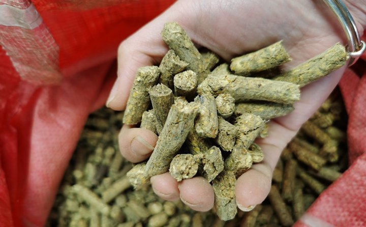 秸稈顆粒機(jī)加工的秸稈固化成型燃料 秸稈顆粒機(jī)加工的秸稈固化成型燃料