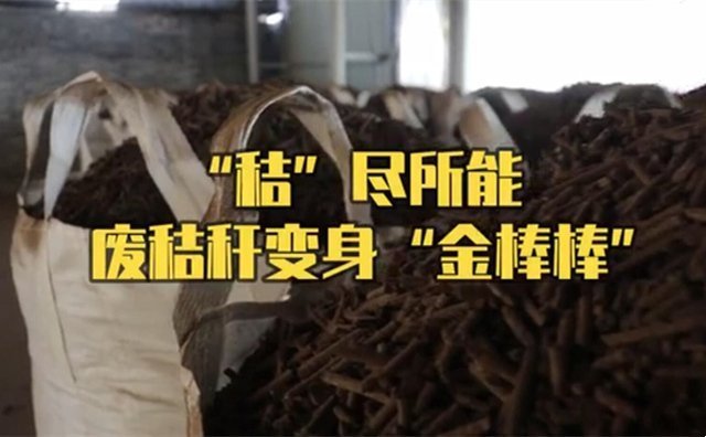 秸稈制粒機(jī)制粒處理 秸稈制粒機(jī)制粒處理