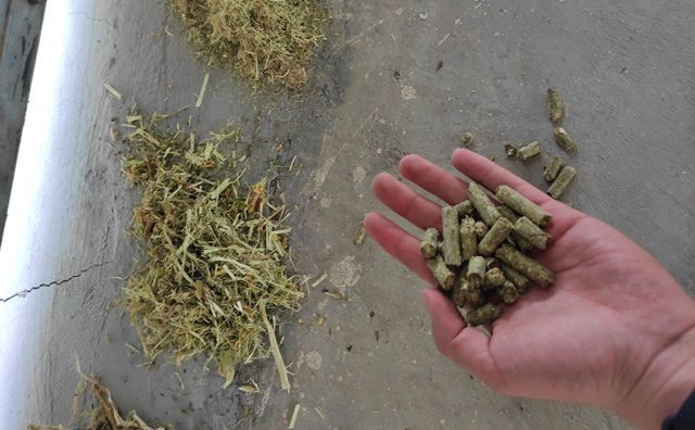 檸條顆粒機生物質(zhì)燃料 檸條顆粒機生物質(zhì)燃料