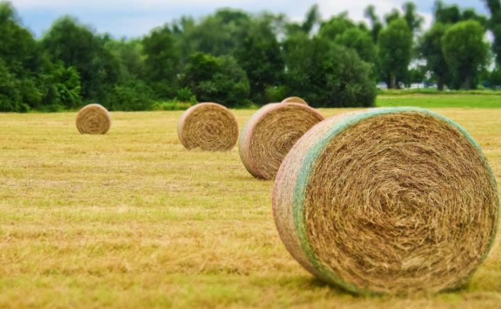 秸稈綜合利用 秸稈綜合利用