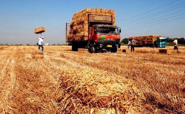 秸稈綜合利用 秸稈綜合利用
