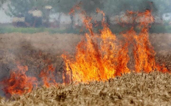 陜西省略陽縣白水江鎮(zhèn)2023年秸稈禁燒綜合利用 陜西省略陽縣白水江鎮(zhèn)2023年秸稈禁燒綜合利用