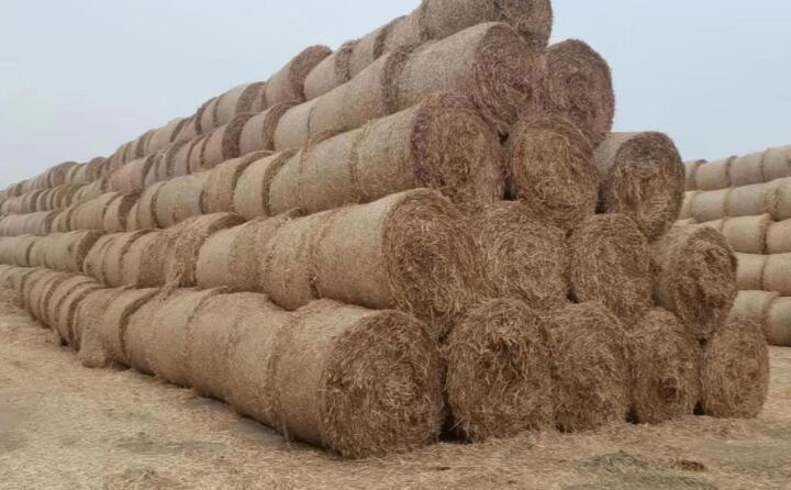 蕭縣:秸稈綜合利用“生態(tài)包袱”變“綠色財(cái)富” 蕭縣:秸稈綜合利用“生態(tài)包袱”變“綠色財(cái)富”