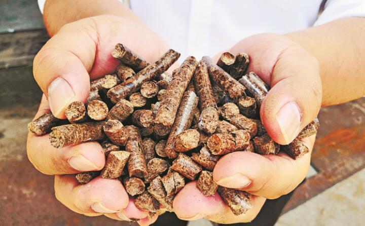 “添火加薪” 秸稈變寶“發(fā)光發(fā)熱” “添火加薪” 秸稈變寶“發(fā)光發(fā)熱”