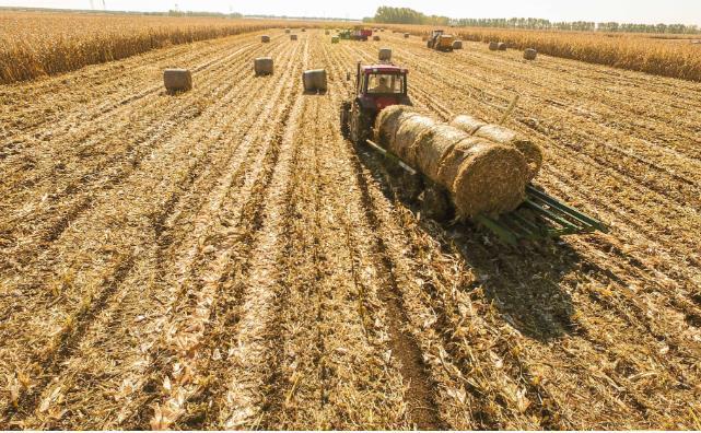 遼寧省沈北新區(qū)變“柴”為“財” 推動秸稈綜合利用 遼寧省沈北新區(qū)變“柴”為“財” 推動秸稈綜合利用