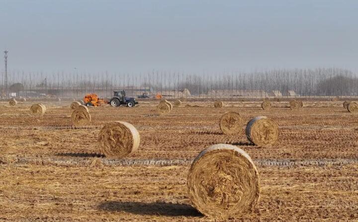 我國(guó)形成秸稈多元利用新格局 我國(guó)形成秸稈多元利用新格局