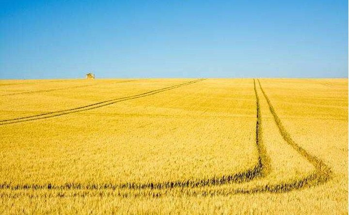 內(nèi)蒙古秸稈資源的轉(zhuǎn)化與再利用成效顯著 內(nèi)蒙古秸稈資源的轉(zhuǎn)化與再利用成效顯著