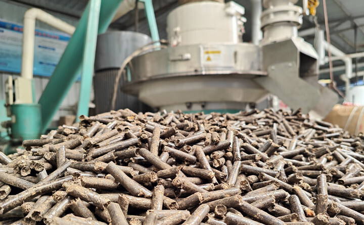 生物質(zhì)顆粒燃料是用秸稈顆粒機將樹枝、秸稈、鋸末等農(nóng)林廢棄物制成的新型清潔綠色燃料