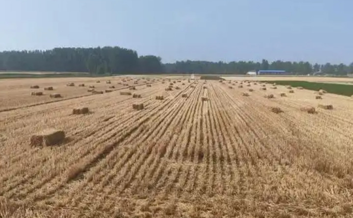 社旗縣下洼鎮(zhèn):變“廢”為“寶”探新路 秸稈“五化”助振興 社旗縣下洼鎮(zhèn):變“廢”為“寶”探新路 秸稈“五化”助振興