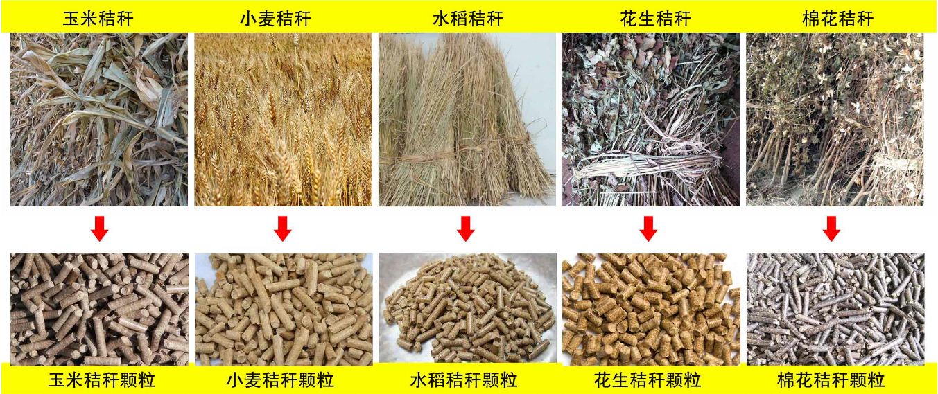 玉米秸稈、小麥秸稈等原材料