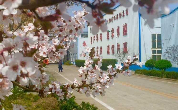 山東金格瑞的廠區(qū)一角美景 山東金格瑞的廠區(qū)一角美景