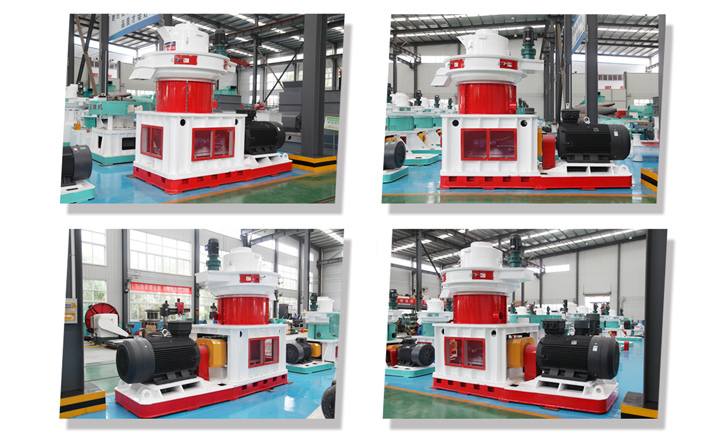 玉米秸稈顆粒機實景展示 玉米秸稈顆粒機實景展示